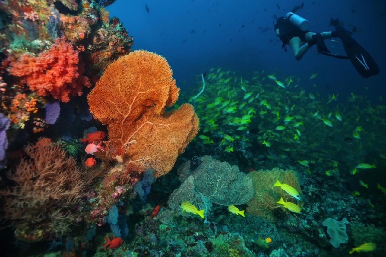 Aquzz Hotel & Spa - Maldives Maafushi Εξωτερικό φωτογραφία